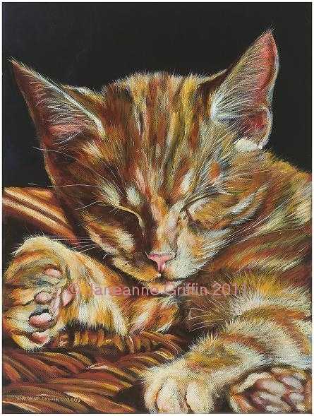 Marmalade dreams